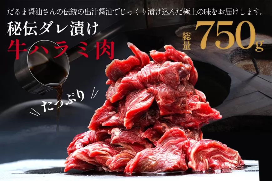 老舗ダルマ醤油使用！印南町オリジナル熟成タレ漬け牛ハラミ 750g 【BBQ・焼肉用】