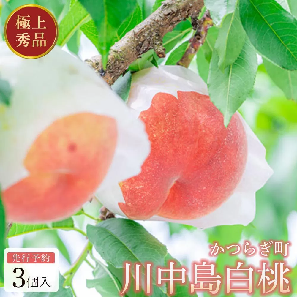 ［秀品］川中島白桃 食べきりやすい3個入り［2026年7月末頃から順次発送］こだわり 農家厳選 先行予約 モモ［KG16］