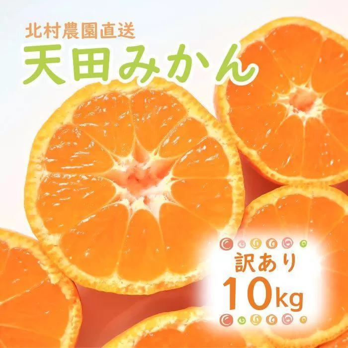 先行予約【2025年11月下旬より発送】濃厚温州みかんご家庭用10kg（和歌山天田みかん）みかんの産地和歌山　北村農園直送