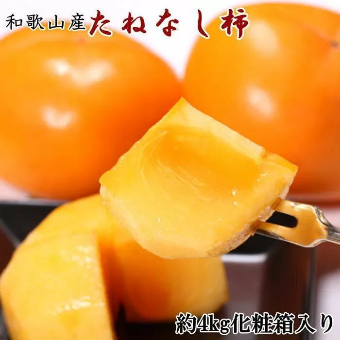 【秋の味覚】和歌山産たねなし柿2L～4Lサイズ約4kg（化粧箱入り）★2025年10月頃より順次発送【TM192】