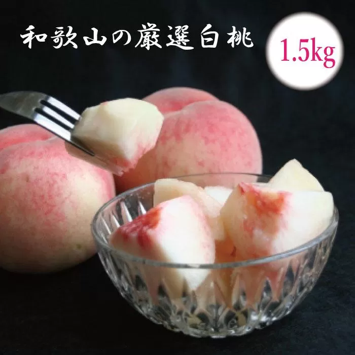 ＜7月発送＞和歌山の厳選白桃 約1.5kg［白鳳・清水白桃・川中島・もも・はくとう］［化粧箱入り］［IKE16］