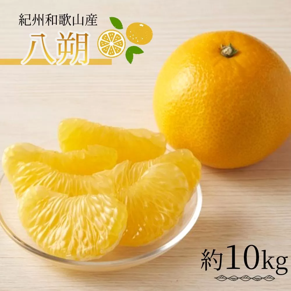 八朔（はっさく）約10kg　紀州和歌山 かつらぎ産［2027年2月上旬頃から2027年2月下旬頃に順次発送］［UT19］