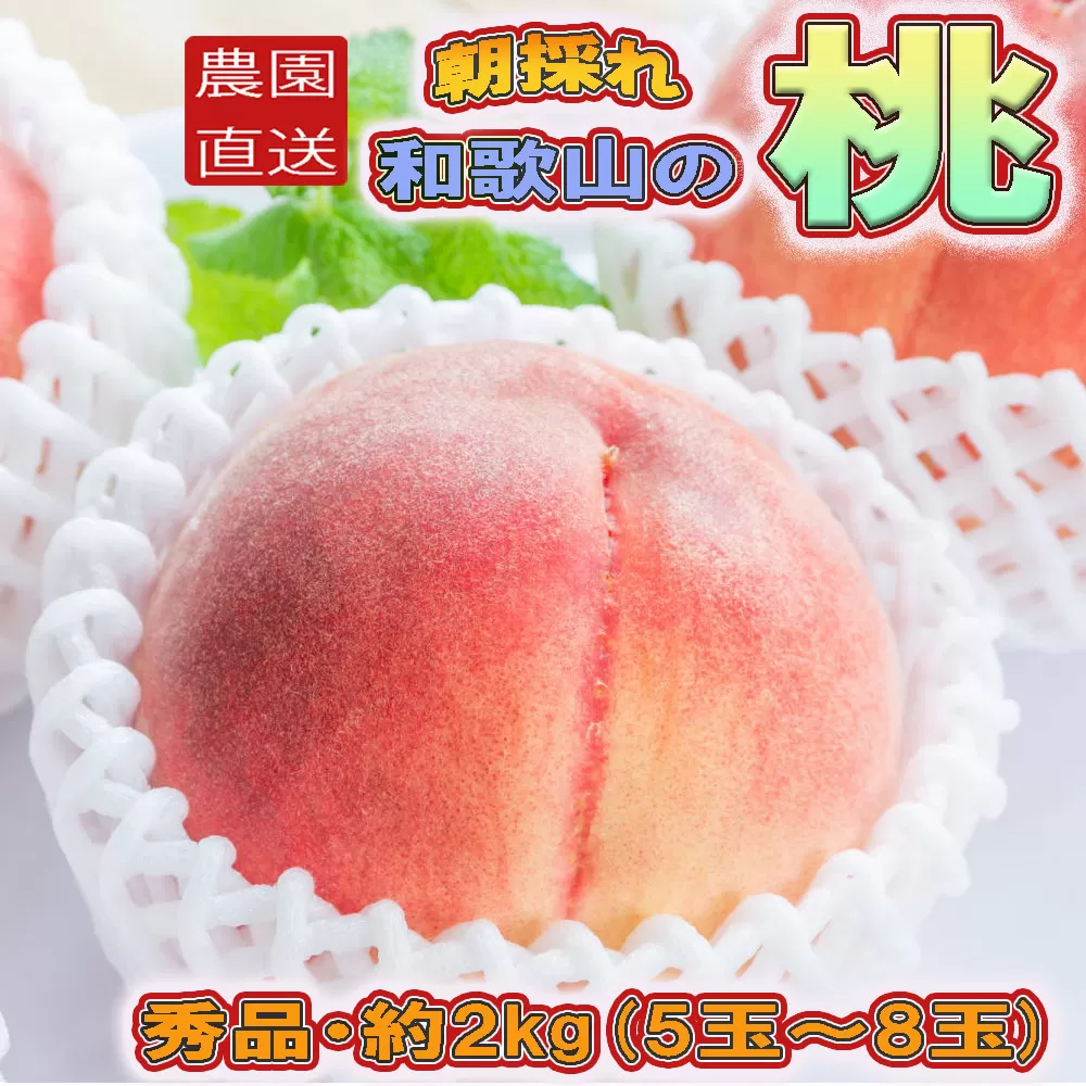 ［農園直送］朝採れ和歌山の桃　約2kg・秀品★2026年6月下旬～8月中旬頃順次発送★［TM167］