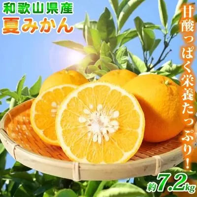 夏みかん 7.2kg［2026年4月中旬頃から発送］［先行予約］［UT73］