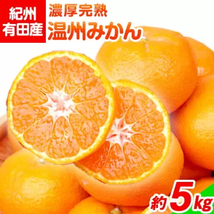 【先行予約】紀州有田産 濃厚完熟温州みかん 約5kg 魚鶴商店《2026年11月下旬-2027年1月下旬頃出荷》 和歌山県 日高川町 みかん 温州みかん 完熟 濃厚 柑橘