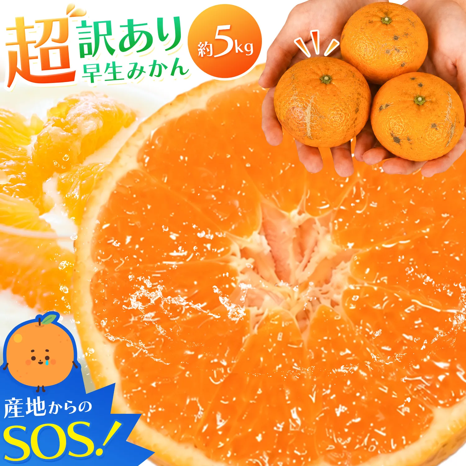 みかん 超訳あり早生みかん 約5kg  《12月上旬-2月上旬頃出荷》 和歌山県 日高川町 みかん ミカン 早生みかん 蜜柑 柑橘 訳あり 果物 くだもの フルーツ 青果物