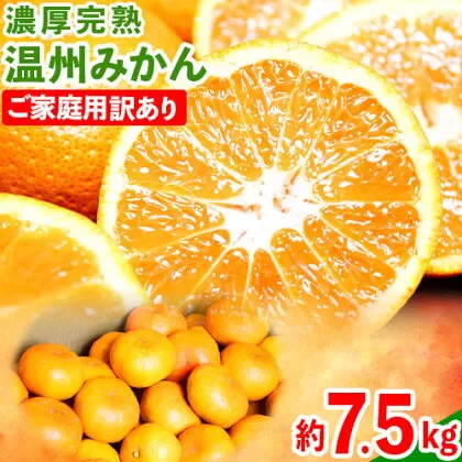 【先行予約】【ご家庭用訳アリ】 紀州有田産 濃厚完熟温州みかん 約7.5kg 魚鶴商店《2026年11月下旬-2027年1月下旬頃出荷》歌山県 日高川町 みかん 温州みかん 完熟 濃厚 柑橘 ご家庭用