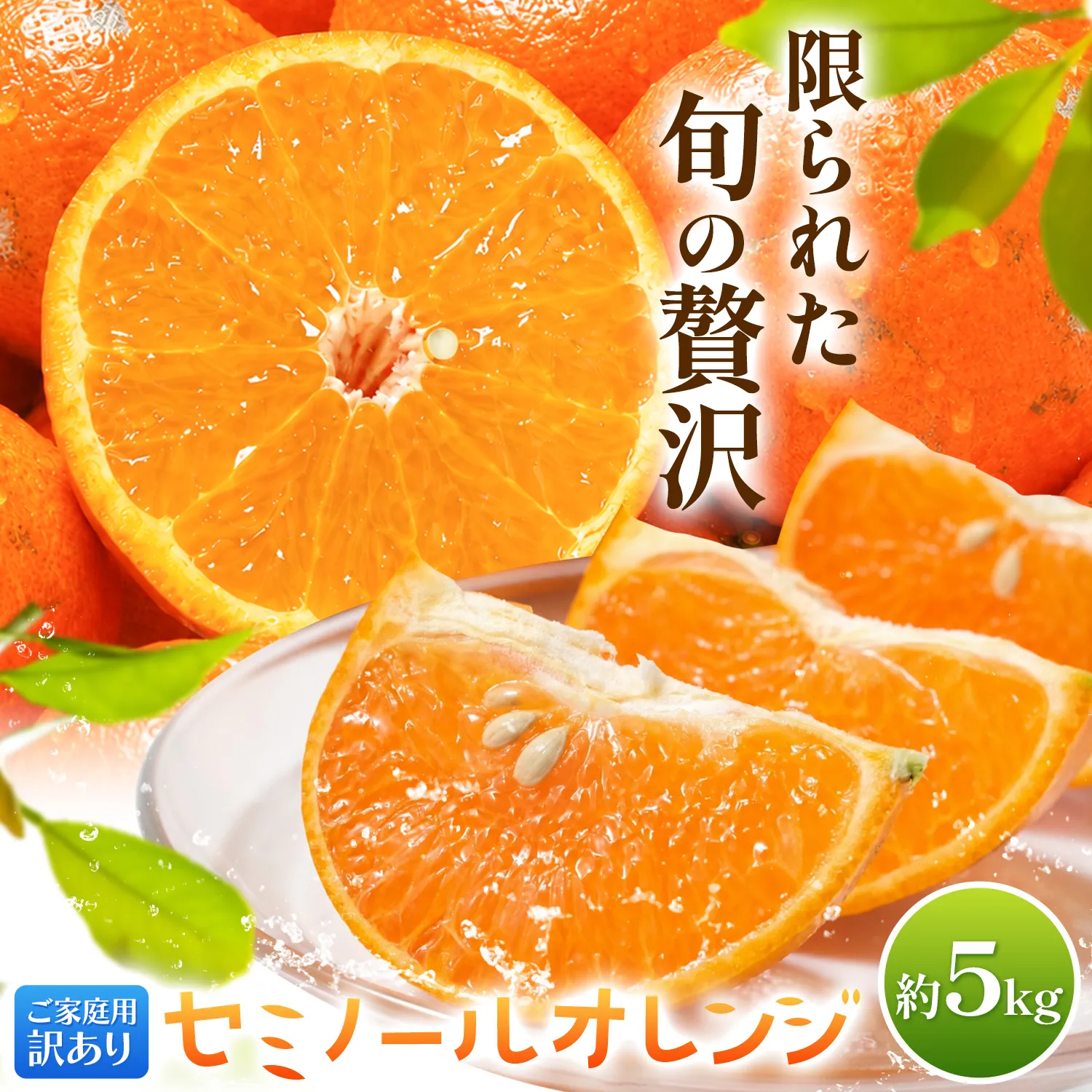 オレンジ 訳あり ご家庭用 セミノールオレンジ 約5kg 株式会社魚鶴商店《5月上旬-5月下旬頃出荷予定》 和歌山県 日高川町 柑橘 フルーツ