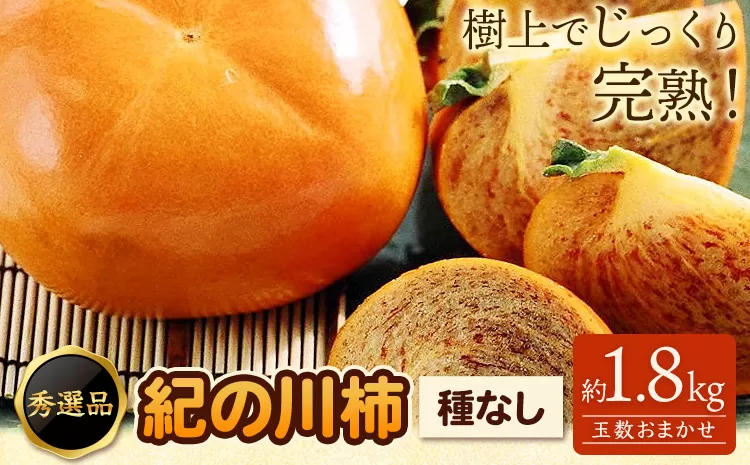 希少 紀の川柿 約1.8kg(種無し)[2026年先行予約]秀選品 厳選館 [2026年10月上旬-11月末頃出荷] 和歌山県 日高川町 柿 カキ かき ジューシー フルーツ