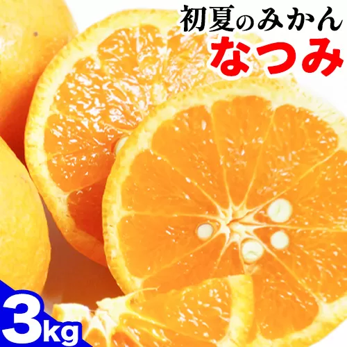 [先行予約]初夏のみかん なつみ 約 3kg 株式会社 魚鶴商店[2026年4中旬-4月下旬頃出荷] 和歌山県 日高川町 みかん なつみ 南津海 柑橘 果物 フルーツ 送料無料