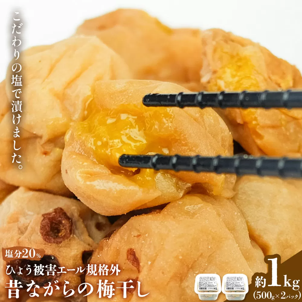 ひょう被害あり昔ながらの梅干し 塩のみで漬けたすっぱい梅干し 約1kg 500g 2パック 農業法人 株式会社紀州梅香《30日以内に出荷予定(土日祝除く)》 和歌山県 日高川町 梅 うめ フルーツ 果物