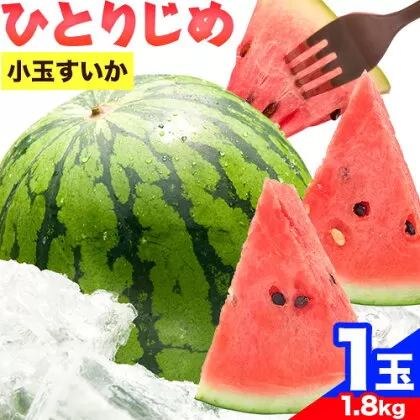 紀州和歌山産 小玉スイカ 「ひとりじめ」 1玉 魚鶴商店《2027年6月上旬-6月下旬頃出荷》 和歌山県 日高川町 スイカ スイーツ フルーツ