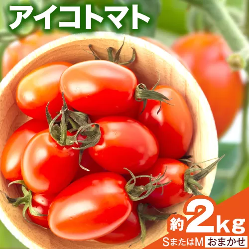  【先行予約】和歌山産 ミニトマト アイコトマト 約2kg SまたはMサイズ サイズおまかせ 厳選館 《2026年1月上旬-2月中旬頃出荷》 和歌山県 日高川町 トマト とまと アイコトマト 送料無料