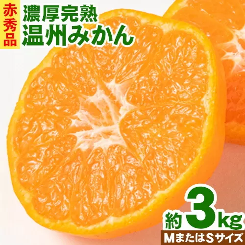 【【先行予約】赤秀品 紀州有田産 濃厚完熟温州みかん 3kg (MサイズまたはSサイズ) 魚鶴商店《2026年11月下旬-2027年1月下旬頃出荷》和歌山県 日高川町 みかん ミカン 蜜柑 フルーツ 柑橘