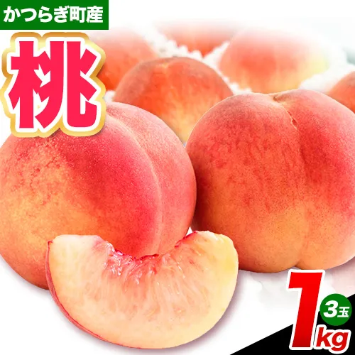 【先行予約】桃 かつらぎ町産 約1kg 紀農人株式会社《2027年6月下旬-7月下旬頃出荷》 和歌山県 日高川町 果物 フルーツ 桃 もも モモ 旬