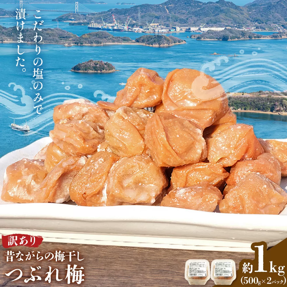 昔ながらの梅干し 訳あり つぶれ梅 約1kg 500g 2パック 農業法人 株式会社紀州梅香《30日以内に出荷予定(土日祝除く)》 和歌山県 日高川町 梅 うめ フルーツ 果物