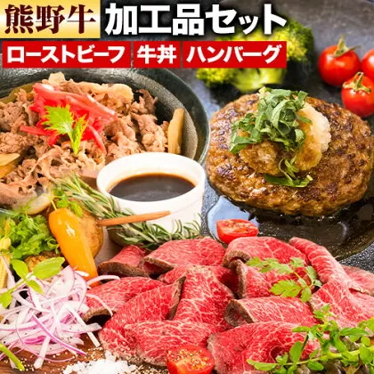 牛肉 熊野牛 加工品 バラエティ セット ミニ ローストビーフ 生ハンバーグ 牛丼の具 約 970g 株式会社Meat Factory《30日以内に出荷予定(土日祝除く)》和歌山県 日高川町 熊野牛 牛 和牛 惣菜 ハンバーグ 牛丼