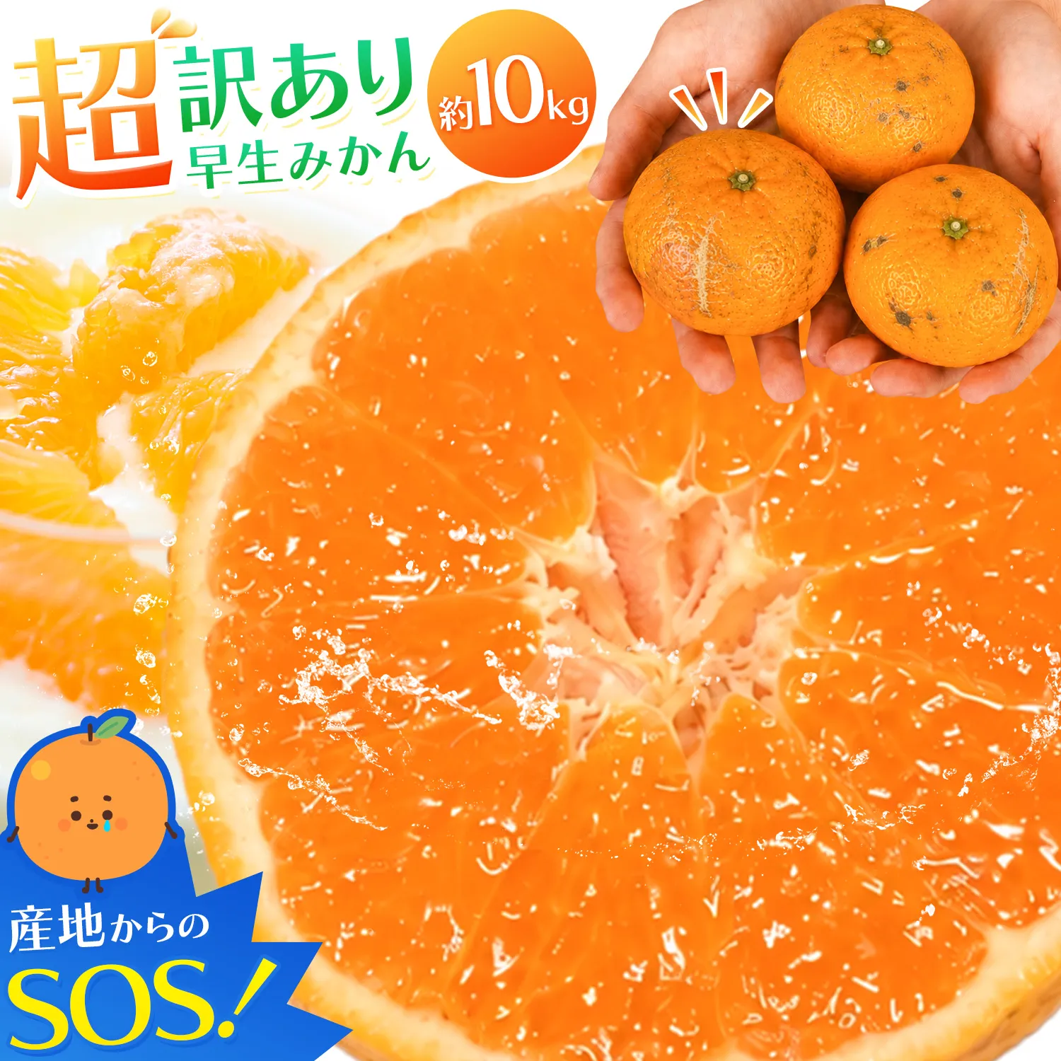 みかん 超訳あり早生みかん 約10kg どの坂果樹園 《12月上旬-2月上旬頃出荷》 和歌山県 日高川町 みかん ミカン 早生みかん 蜜柑 柑橘 訳あり 果物 くだもの フルーツ 青果物
