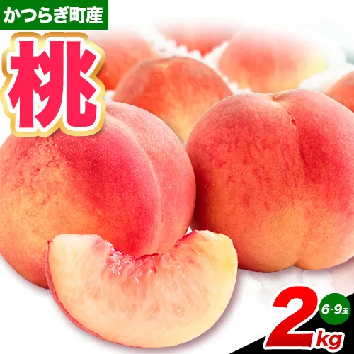 【先行予約】桃 かつらぎ町産 約2kg 紀農人株式会社《2027年6月下旬-7月下旬頃出荷》 和歌山県 日高川町 果物 フルーツ 桃 もも モモ 旬