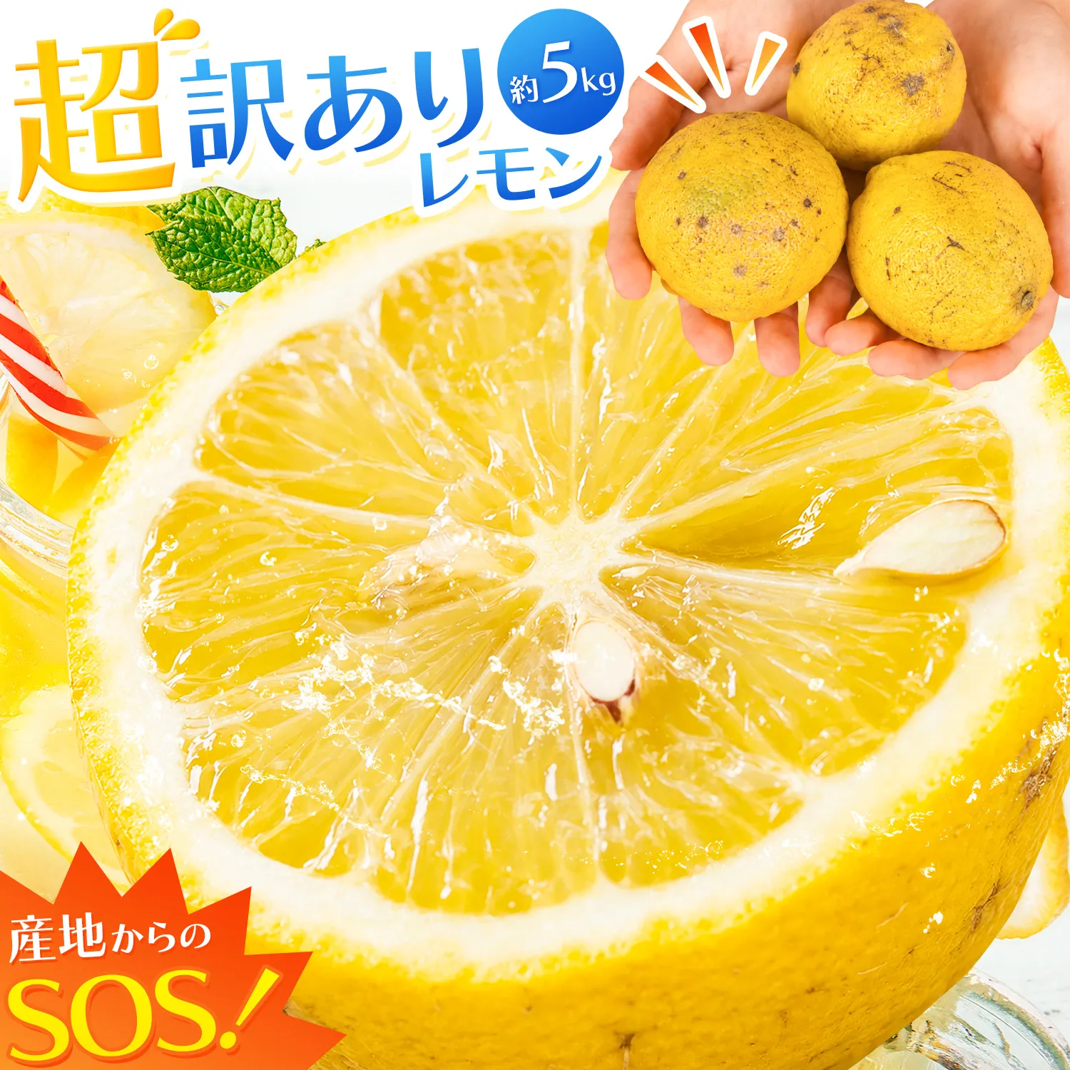 レモン 超訳ありレモン 約5kg 《2月上旬-5月末頃出荷》 和歌山県 日高川町 れもん 檸檬 柑橘 訳あり 果物 くだもの フルーツ 青果物