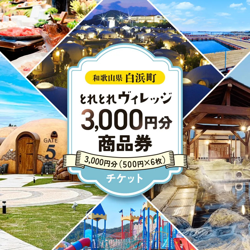 とれとれヴィレッジ 3,000円分商品券(500円×6枚)チケット