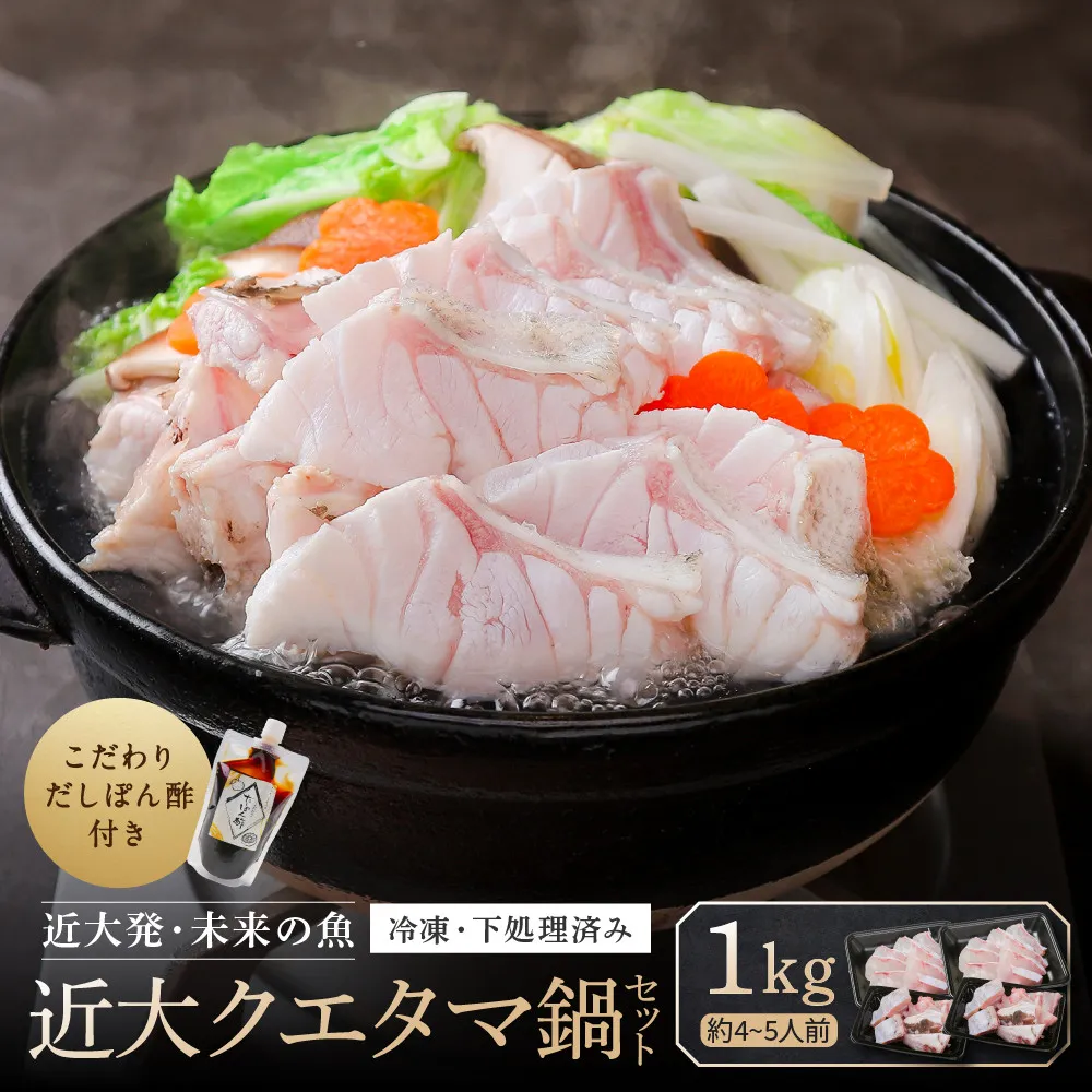 近大クエタマ鍋セット1kg（2026年11月下旬～12月中旬発送）