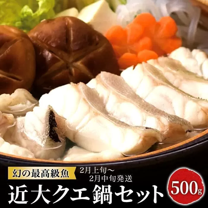 近大クエ鍋セット ( 500g ）こだわりだしぽん酢付き【2026年2月上旬～中旬発送】