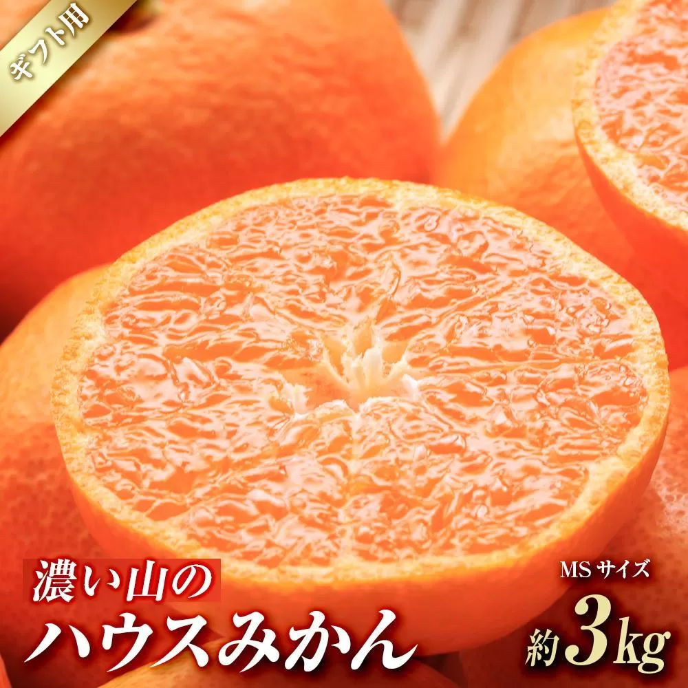 濃い山のハウスみかん 約3kg MS玉 高糖度 ギフト 2024年7月以降発送分