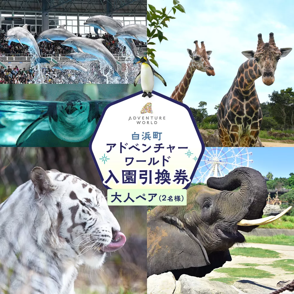 白浜町ふるさと納税 アドベンチャーワールド入園引換券 大人 （18歳上） ペアチケット