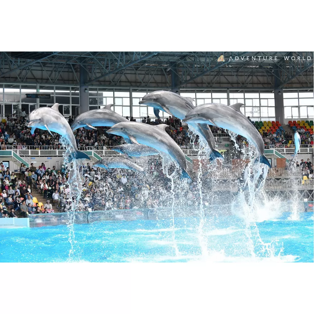 白浜町ふるさと納税 アドベンチャーワールド入園引換券 大人・子ども ペアチケット