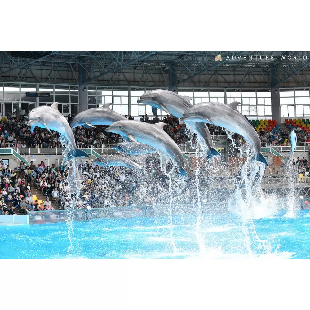 白浜町ふるさと納税 アドベンチャーワールド入園引換券 大人チケット（18歳上） 1枚