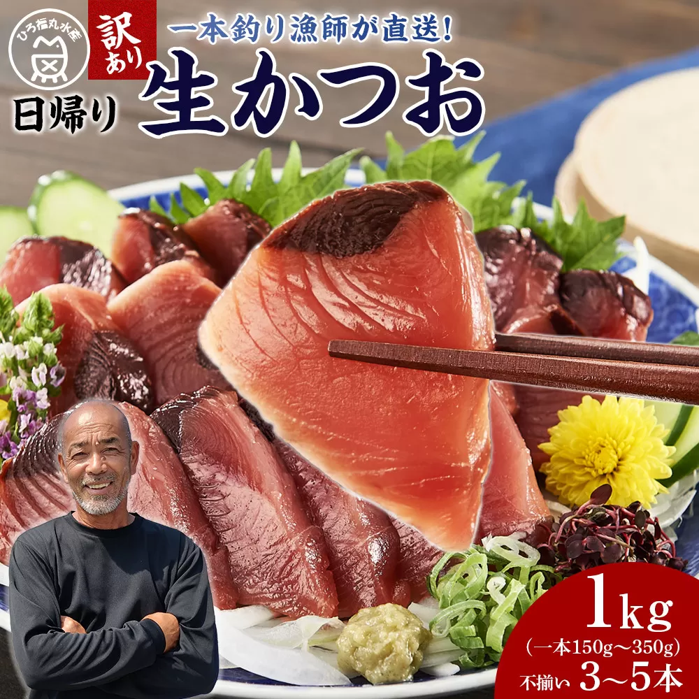 かつお一本釣り漁師が直送！ 日帰り生かつお 訳あり 1kg入