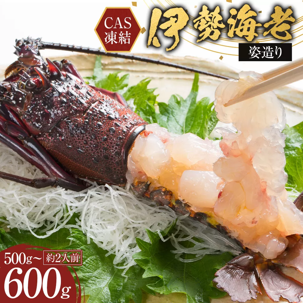 【2026年1月配送】CAS凍結 伊勢海老 姿造り 500g ～ 600g 約2人前