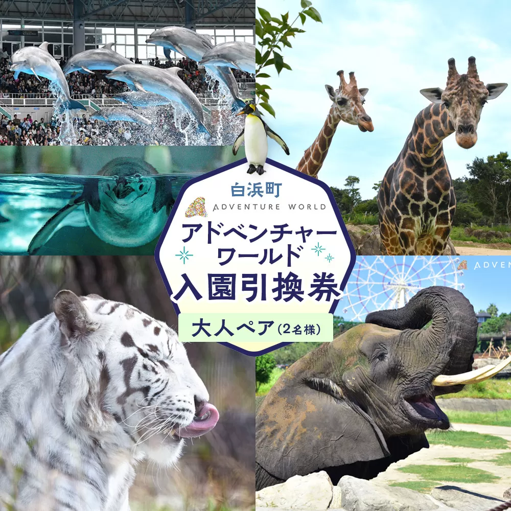 白浜町ふるさと納税 アドベンチャーワールド入園引換券 大人 （18歳上） ペアチケット