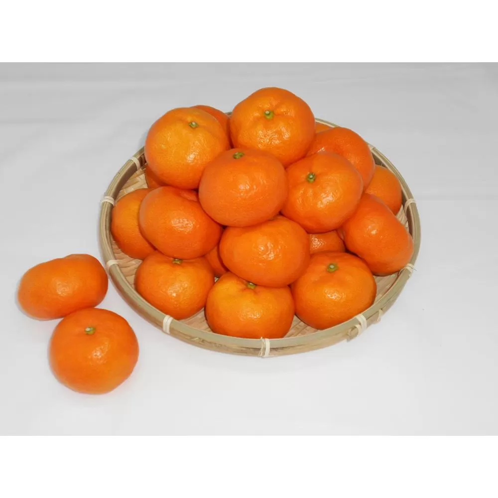 紀州完熟みかん 3kg（2Lサイズ）