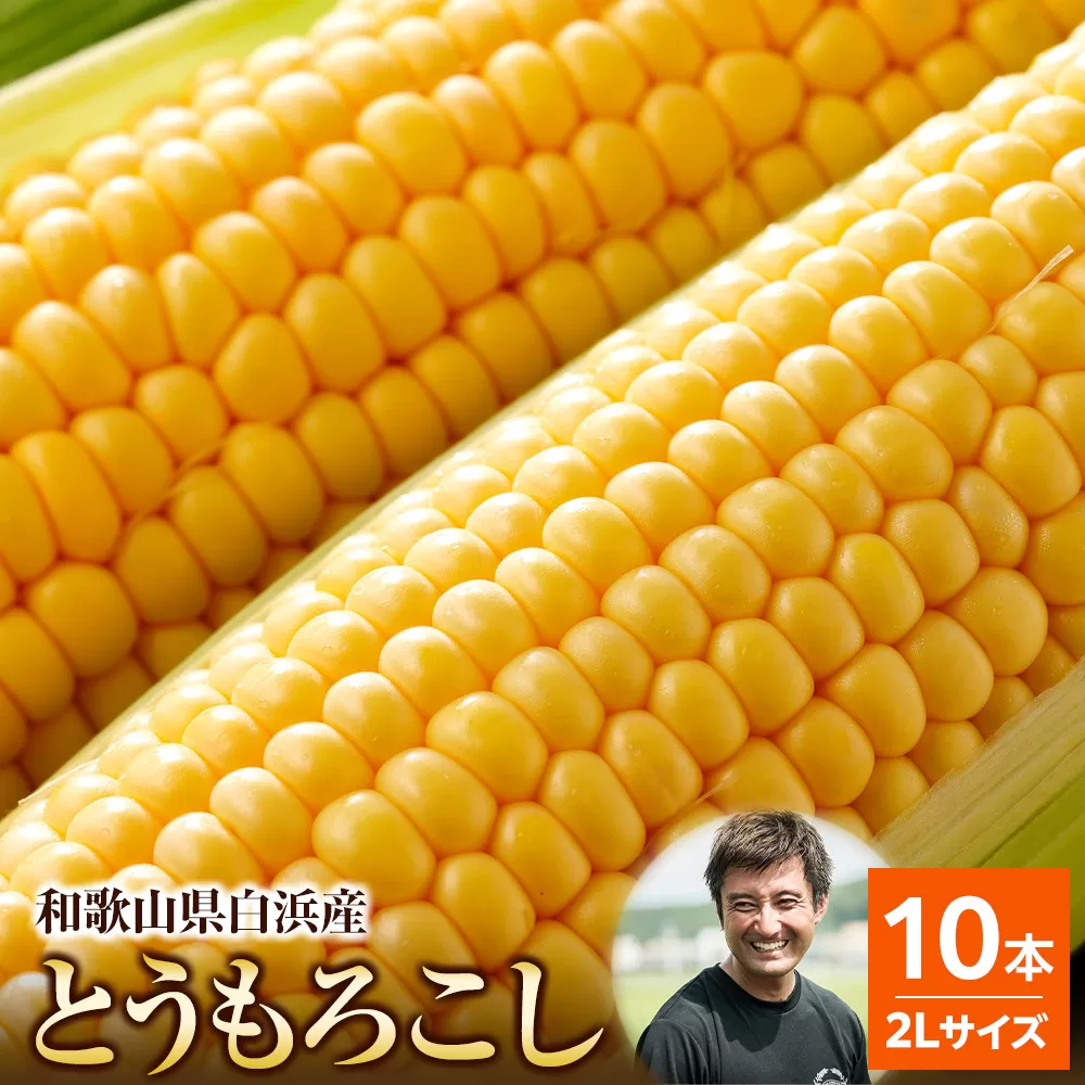 ［先行予約］しらはま農家 とうもろこし2Lサイズ10本 ［2026年6月発送予定］