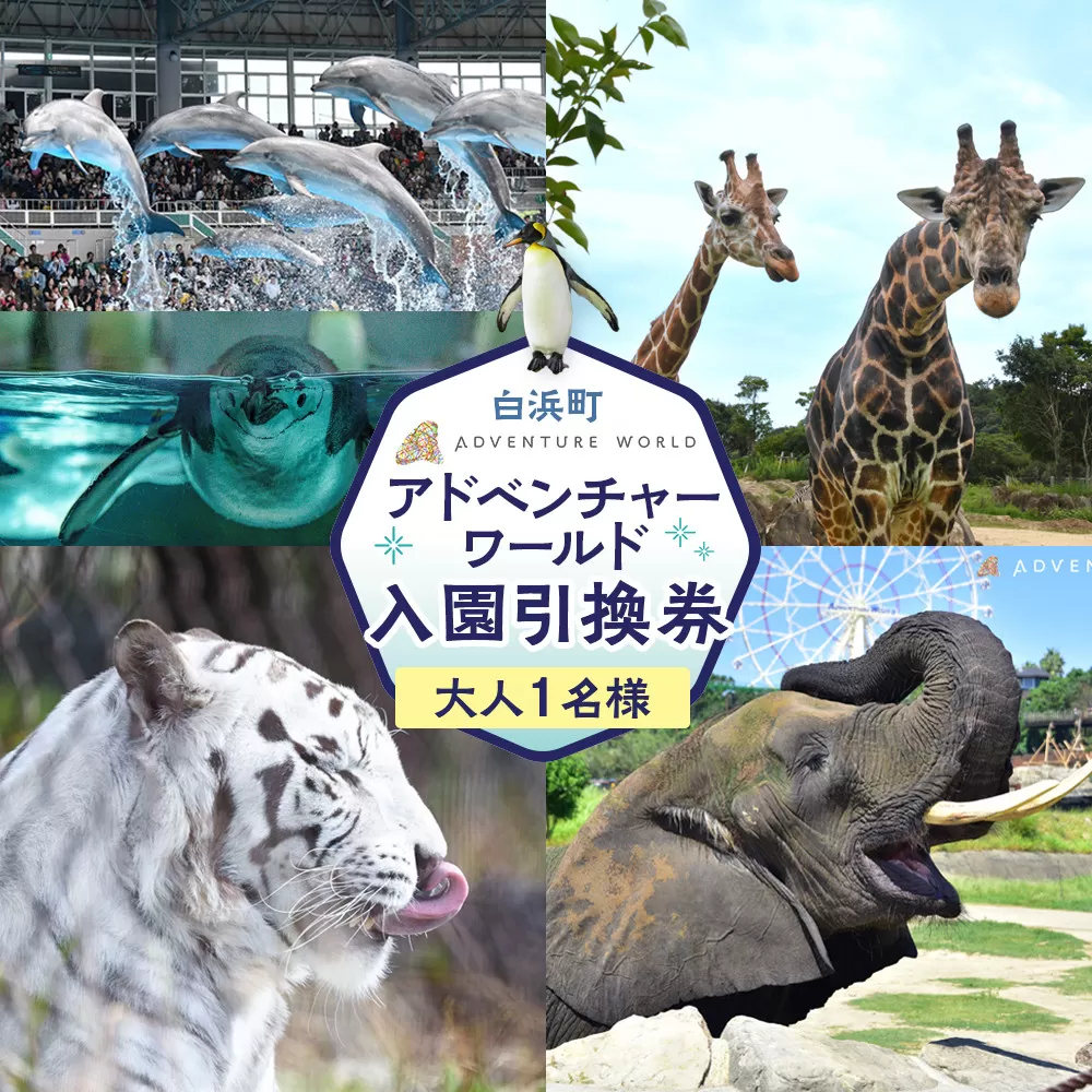 白浜町ふるさと納税 アドベンチャーワールド入園引換券 大人チケット（18歳上） 1枚