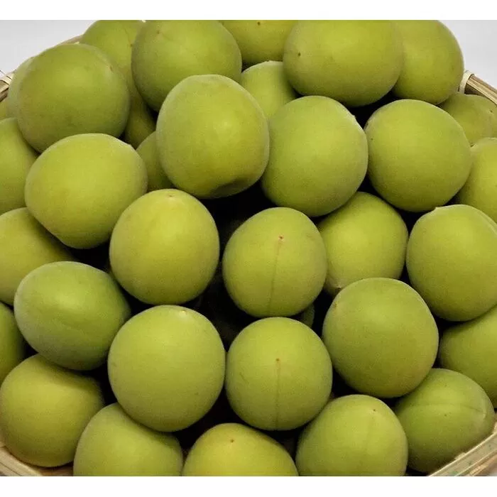 ［梅酒・梅ジュース用］紀州南高梅5kg（3Lサイズ）