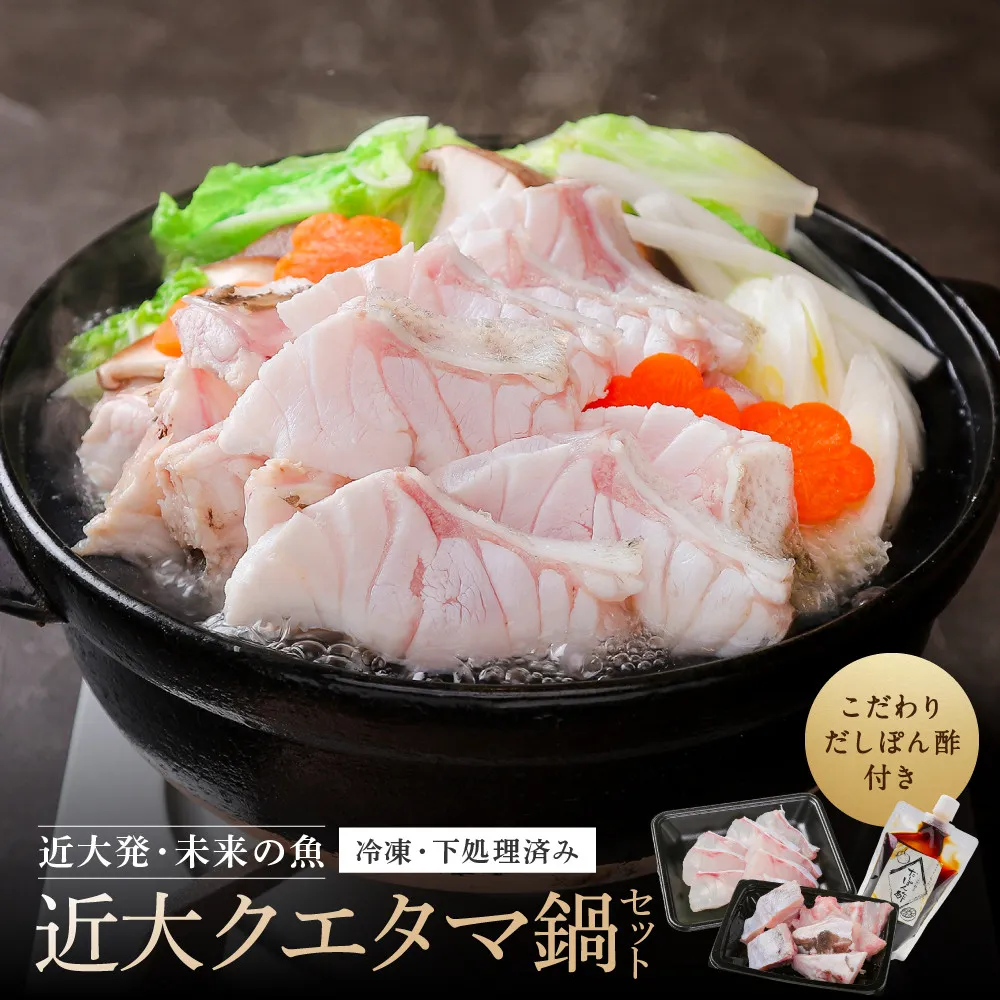 近大クエタマ鍋セット500g（2027年2月上旬～2月中旬発送）