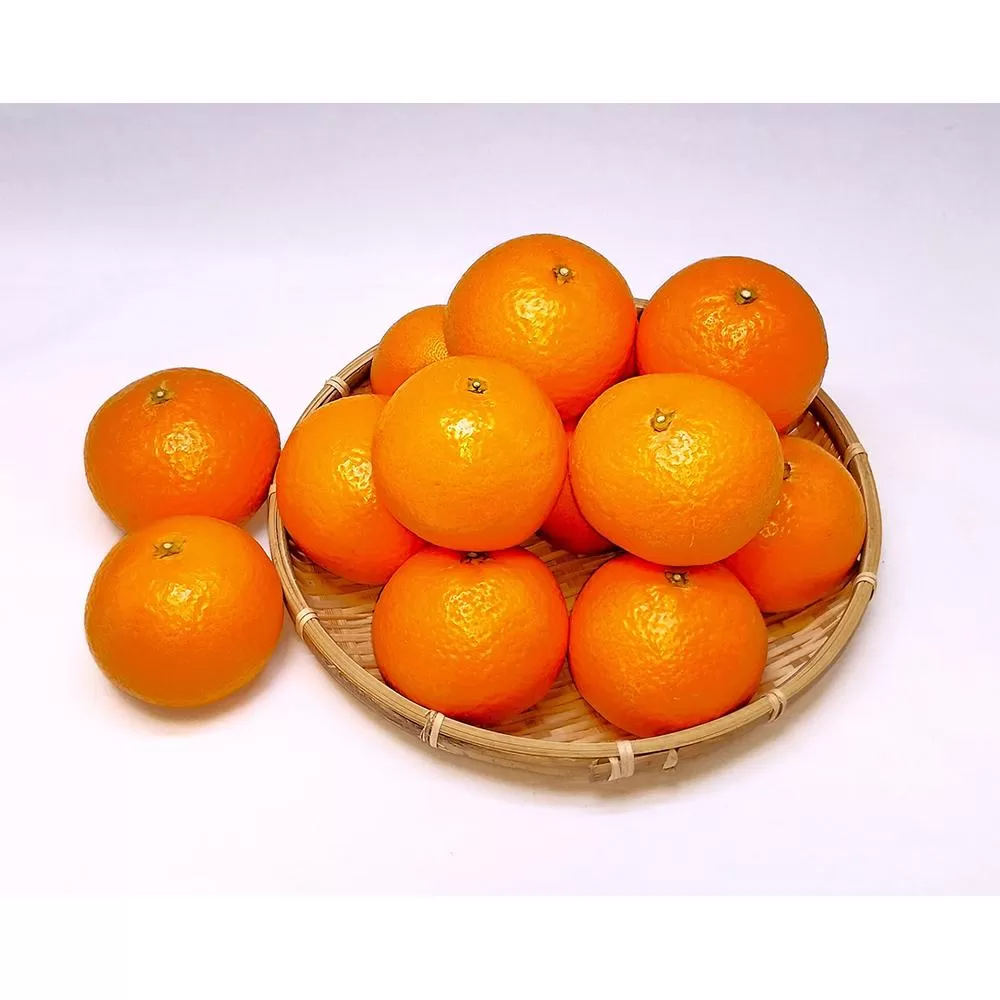 清見オレンジ 3kg　L～3Lサイズ　サイズおまかせ
