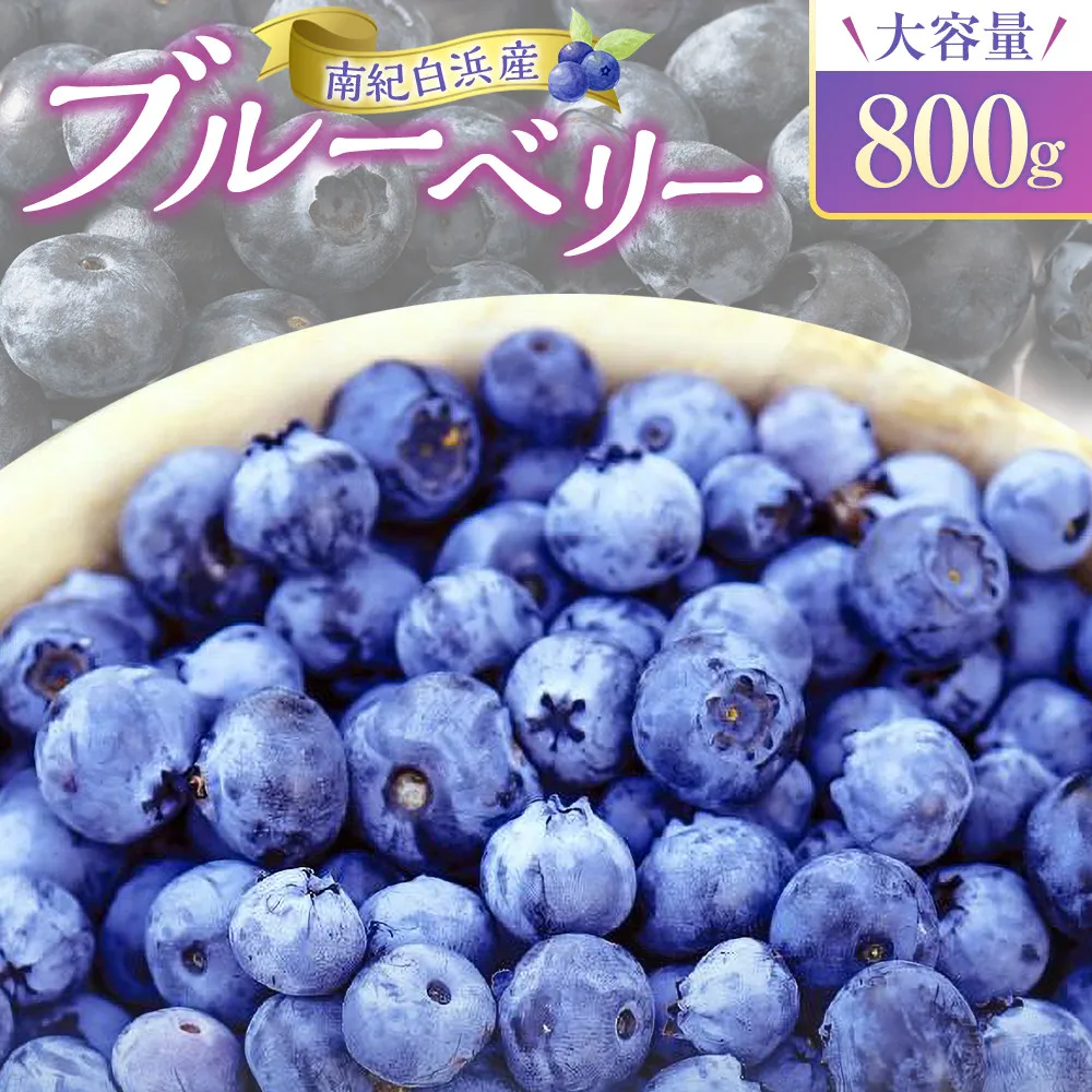 南紀白浜産ブルーベリー 800g 大容量