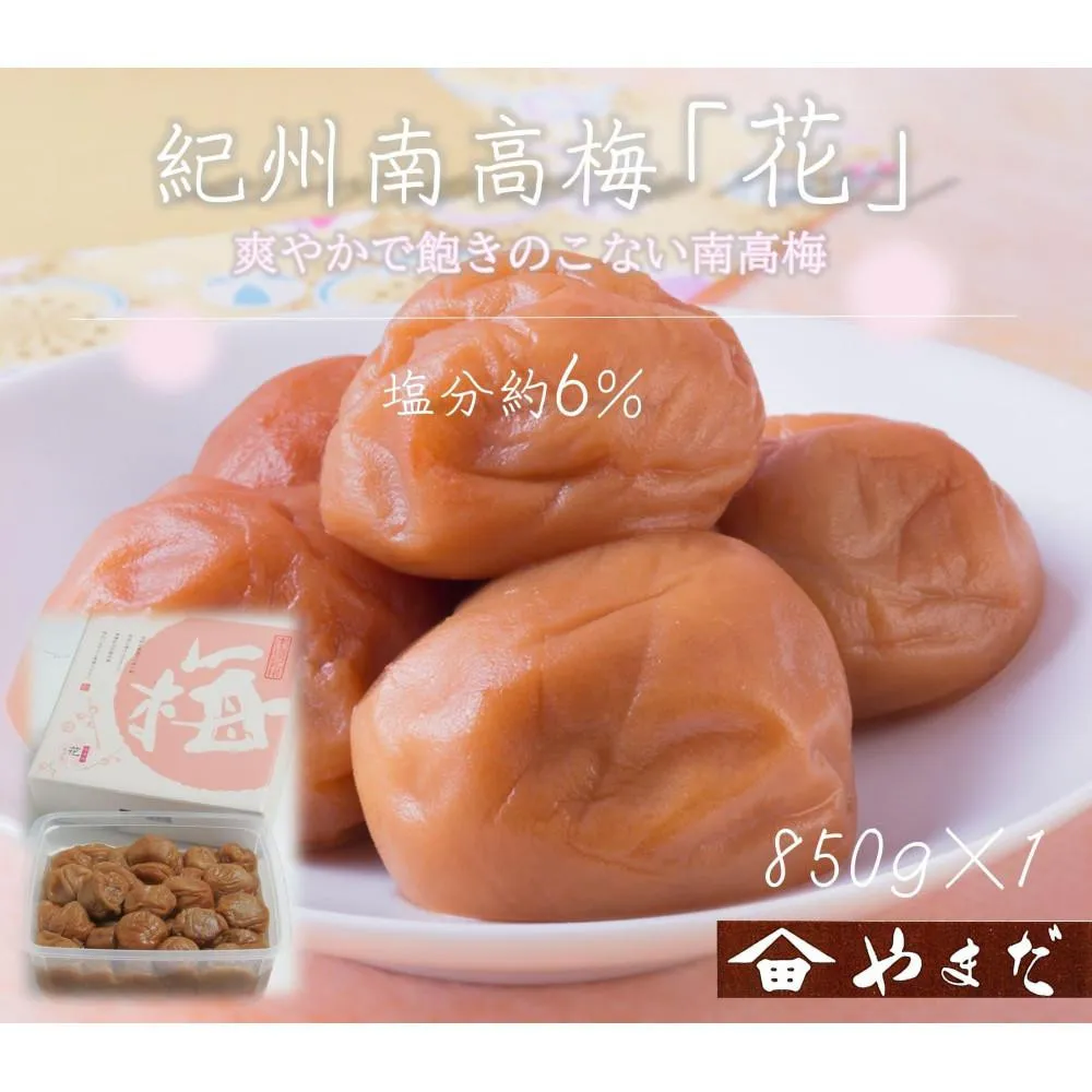 【定期便・2ヵ月毎 全5回】紀州南高梅 「花」 850g ［YM8w］