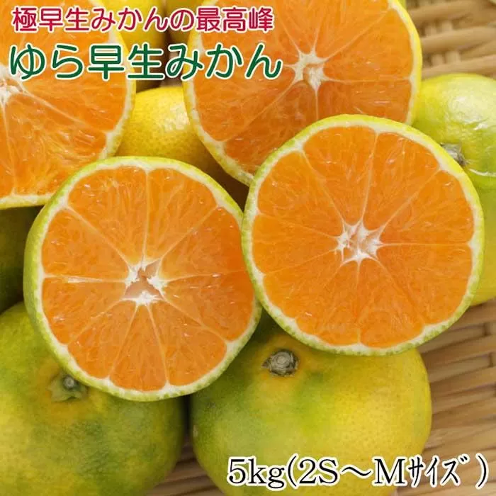 【極早生みかんの逸品】和歌山県産ゆら早生みかん約5kg★2024年10月中旬頃より順次発送【TM120】