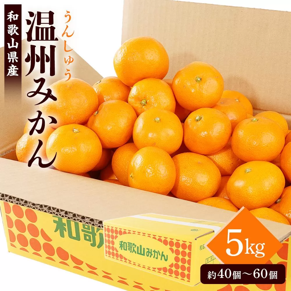 ［先行予約］［2025年11月初旬頃から順次発送予定］ 和歌山県産温州みかん 約5kg（40個～60個）秀品 こだわり農家厳選！［KG31］