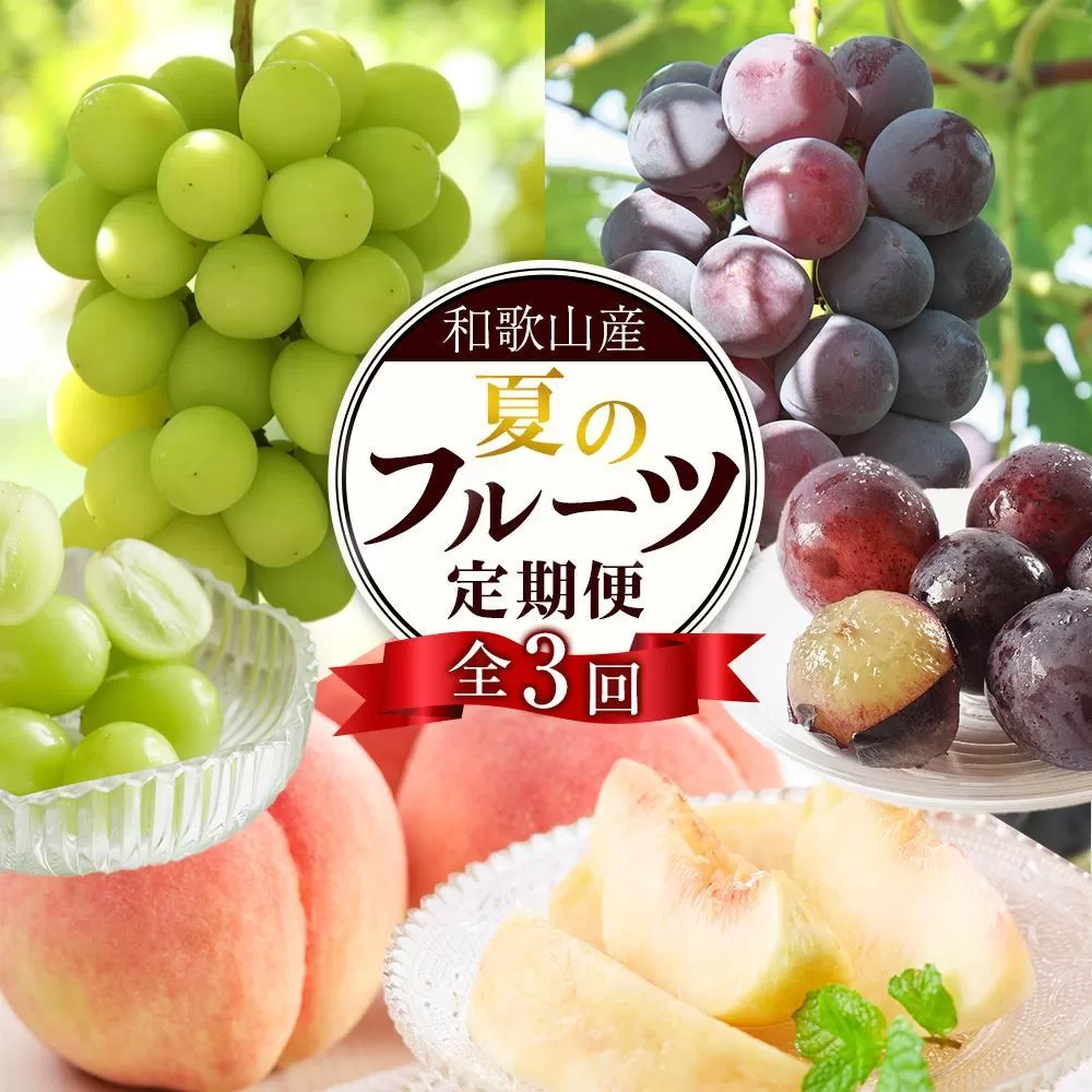 定期便全3回 【7月・8月・9月発送】 和歌山のフルーツをお届け（桃・たねなしピオーネ・シャインマスカット）【TM180】