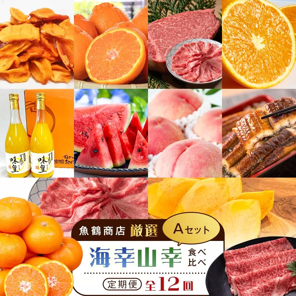 【魚鶴商店厳選！】人気の海幸山幸食べ比べ【定期便全12回】セットA【UT109】