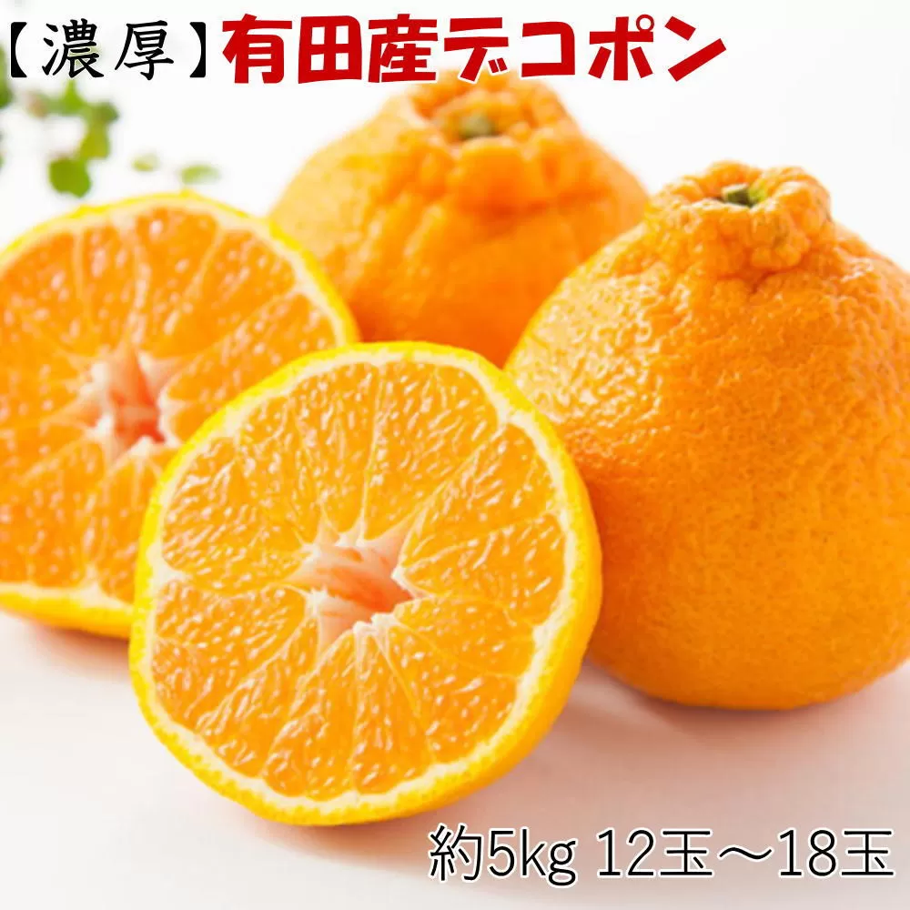 ［お味濃厚］紀州有田産の大玉デコポン約5kg(12玉〜18玉入り・青秀以上) ★2026年１月中旬頃より順次発送［TM25］