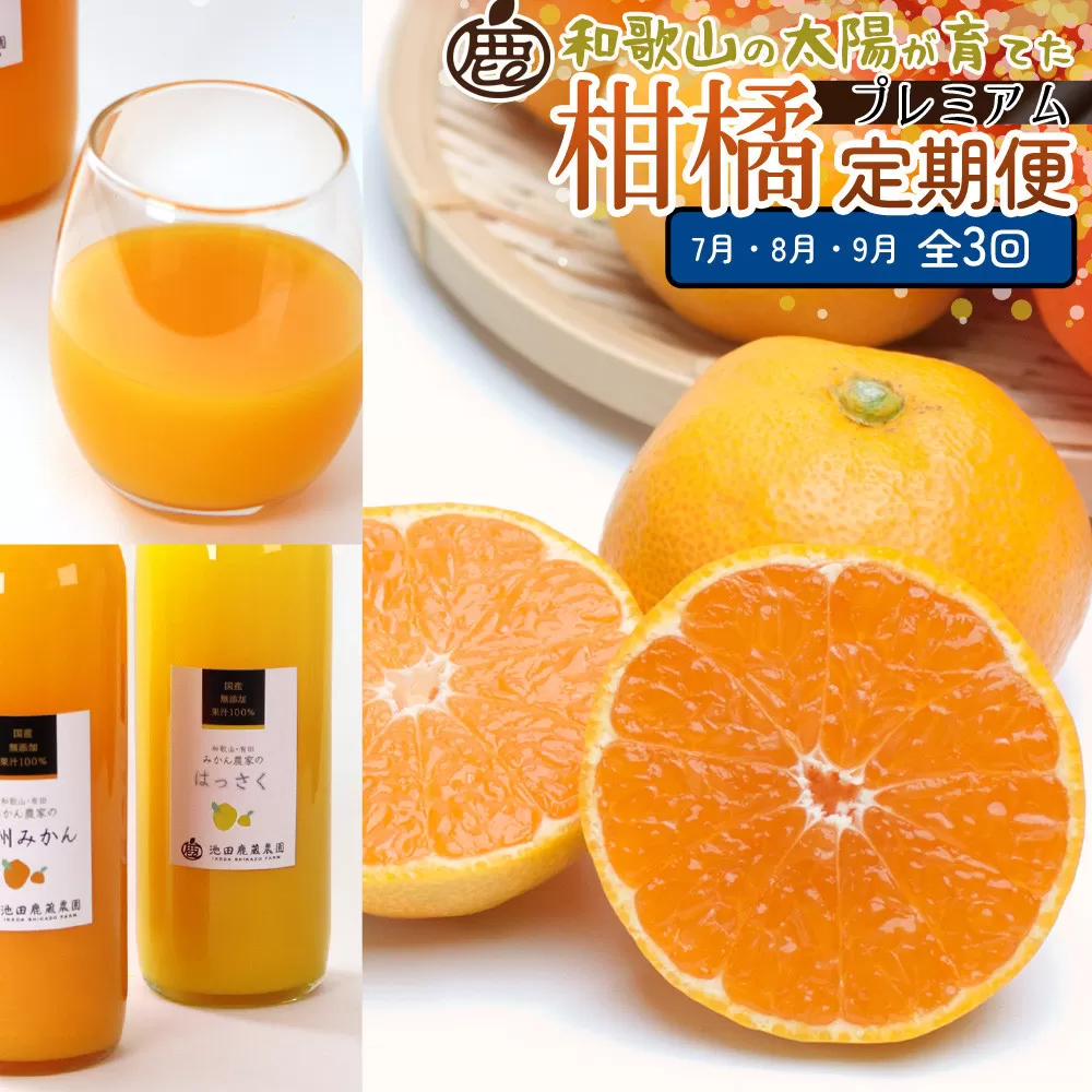 厳選 柑橘定期便S（7〜9月）全3回 ［IKE290］