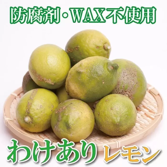 家庭用 レモン5kg+250g（傷み補償分）【和歌山有田産】【防腐剤・WAX不使用、安心の国産レモン】【わけあり・訳ありレモン】［IKE126］