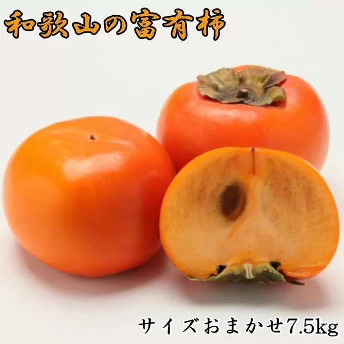 [甘柿の王様]和歌山産富有柿　約7.5kg サイズおまかせ★2026年11月中旬頃より順次発送［TM5］